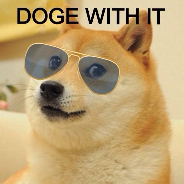 doge with it