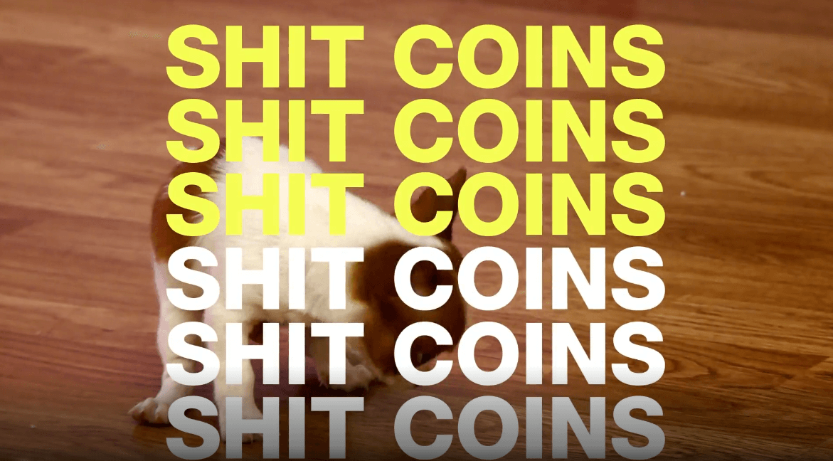Mehr „Behind The Shitcoins“-Dokus, bitte!
